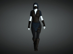 the rogue - fantasy style armor 3D Model