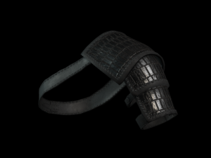 The adventurer leather armor light 3D Model