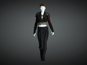 The adventuress - fantasy style armor Modèle 3D