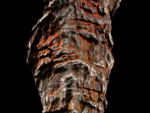 록 레드 3D 모델