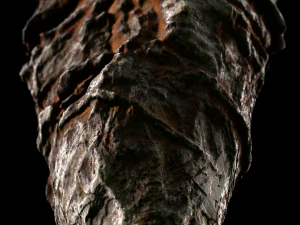 록 레드 3D 모델