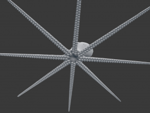 octopus 3D 模型