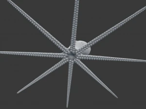 octopus 3D Model