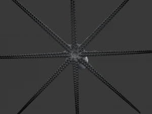 octopus 3D Model