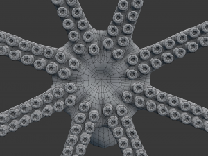 octopus 3D 模型