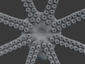 octopus 3D Model