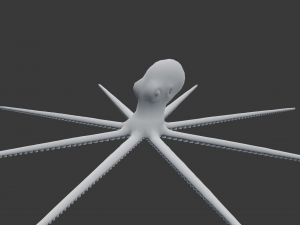 octopus 3D 模型