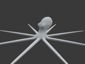 octopus 3D Model