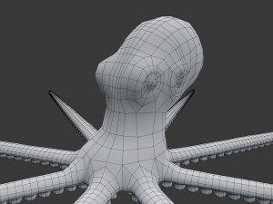 octopus 3D 模型