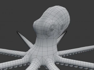 octopus 3D Model
