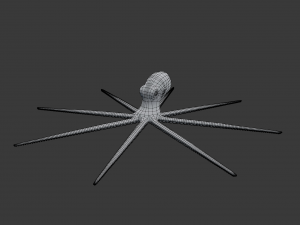 octopus 3D 模型