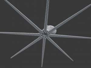 octopus 3D 模型