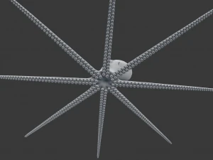 octopus 3D Model