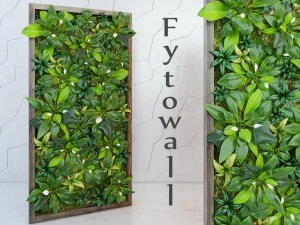 fytowall spatifilum Model 3D