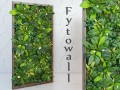 fytowall spatifilum Modelo 3D