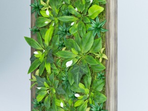 fytowall spatifilum 3D Model
