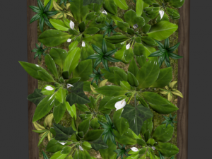 fytowall spatifilum 3D Model