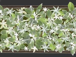 fytowall spatifilum 3D Model