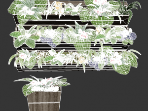 fitostend Model 3D