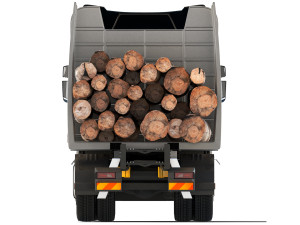 Scania R650 timber 2020 Model 3D