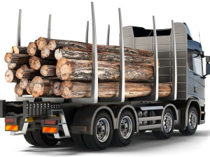 Scania R650 timber 2020 Model 3D