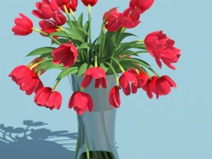 tulips 3D Model