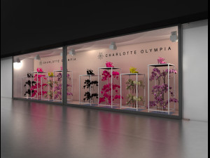 showcase shop 3D Model