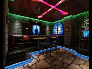 Partybar KTV Sauna Design komplett 48 3D Modell