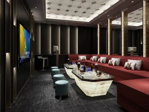 party bar ktv sauna design completo 66 Modello 3D