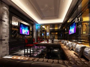 party bar ktv sauna design completo 90 Modello 3D