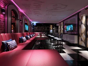 party bar ktv sauna design completo 113 Modello 3D