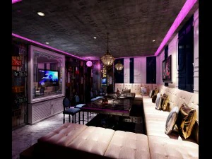 party bar ktv sauna design complete 119 3D Model