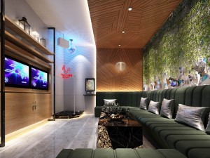 party bar ktv sauna design complete 139 Model 3D