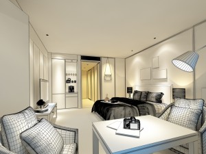 bedroom hotel suites designed a complete 156 Modèle 3D
