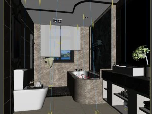 bathroom design complete model 30 3D Model