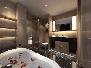 bathroom design complete model 60 3D Model