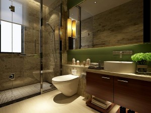 bathroom design complete model 67 3D Model