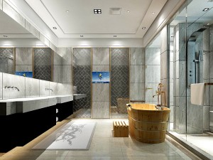 bathroom design complete model 70 Model 3D