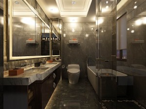 bathroom design complete model 81 3D Model