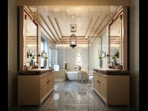 bathroom design complete model 86 3D Model
