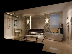 bathroom design complete model 116 Modèle 3D