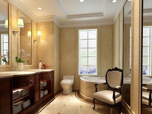 bathroom design complete model 133 3D Model