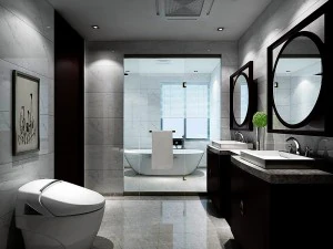 bathroom design complete model 139 3D Model