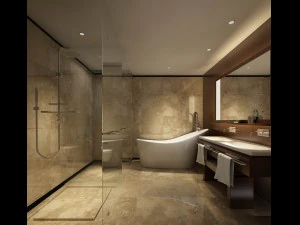 bathroom design complete model 152 3D Model