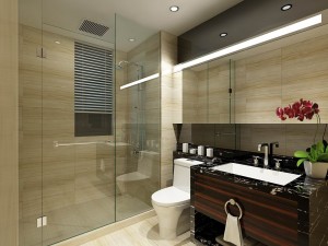 bathroom design complete model 156 3D Model