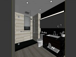 bathroom design complete model 156 3D Model