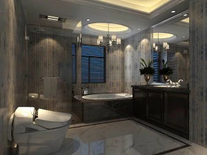 bathroom design complete model 169 3D Model