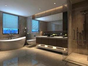 projeto de banheiro modelo completo 170 Modelo 3D