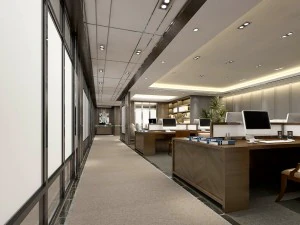 办公室 会议室 接待厅 54 3D 模型