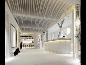 beauty salon reception hall spa center 03 3D Model